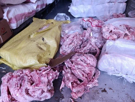 كارثة بالخانكة.. ضبط 10 أطنان هياكل دواجن مجهولة المصدر داخل مصنع لحوم