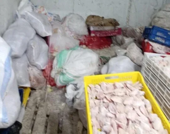 كارثة غذائية بالقليوبية.. ضبط 12 طن دواجن فاسدة تُعاد تدويرها وبيعها للمواطنين