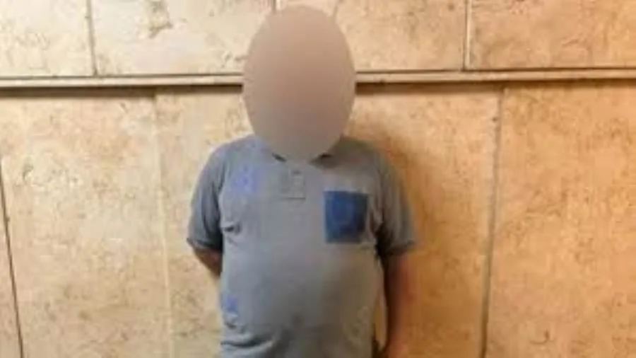 كشف ملابسات تداول مقطع فيديو بإطلاق أعيرة "رش" من بندقية ضغط هواء تجاه الكلاب بالقاهرة