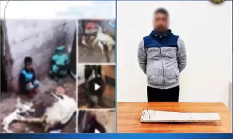 كشف ملابسات فيديو تعدي شخص على الكلاب الضالة بإستخدام أداه صلبة كشف ملابسات فيديو تعدي شخص على الكلاب الضالة بإستخدام أداه صلبة
