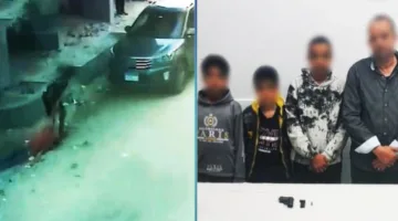كشف ملاسات إصابة طفل بطلق ناري في مشاجرة مع نظرائه (فيديو)