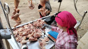 كفر الشيخ تُنفذ جولات تفتيشية على الأعمال التجارية في الحامول