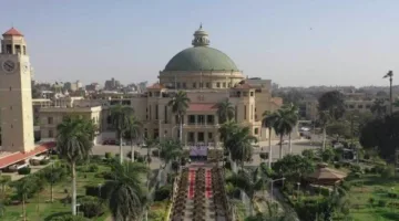كلية الدراسات الإفريقية ومركز معلومات مجلس الوزراء يناقشان فرص وتحديات الاستثمار في إفريقيا