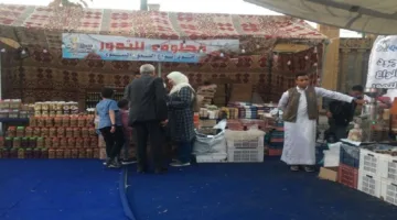 «كنوز مطروح» تستمر في تقديم منتجاتها البيئية من المشغولات اليدوية في المنصورة