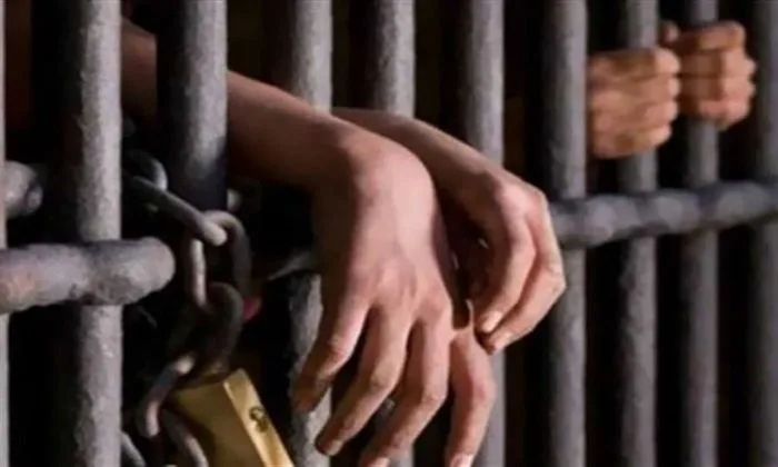 كيان وهمي وفرص عمل مزيفة.. حبس «مستريح» جديد في الدقي