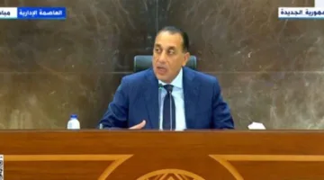 كيف تصل اللحوم المستوردة إلى مصر؟.. رد رئيس الوزراء