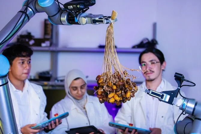 كيف تعتمد السعودية على الذكاء الاصطناعي في جمع محصول التمور؟ كيف تعتمد السعودية على الذكاء الاصطناعي في جمع محصول التمور؟