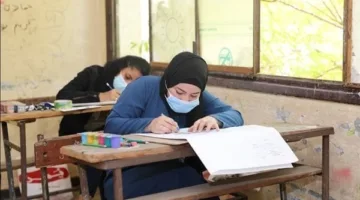 كيفية الاستعلام عن أرقام جلوس الثانوية العامة 2025 عبر الإنترنت