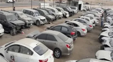 كيفية التقديم وطرق الدفع: كل ما تحتاج لمعرفته عن مزاد السيارات في 1 يونيو 2025
