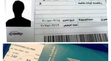 كيفية الحصول على بطاقة الرقم القومي، جواز السفر، ورخصة القيادة
