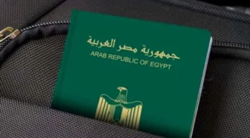 كيفية الحصول على جواز سفر عاجل عبر الإنترنت: خطوات المستندات المطلوبة
