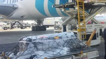 كيفية نقل جثامين المصريين من الخارج على حساب الدولة: المتطلبات والمستندات اللازمة