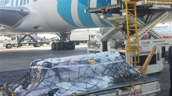 كيفية نقل جثامين المصريين من الخارج على حساب الدولة: المتطلبات والمستندات اللازمة كيفية نقل جثامين المصريين من الخارج على حساب الدولة: المتطلبات والمستندات اللازمة