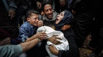 لإنهاء حرب الإبادة في غزة.. احتجاجات غير مسبوقة في الاتحاد الأوروبي ومطالبات بحظر الأسلحة ضد إسرائيل واعتقال نتنياهو