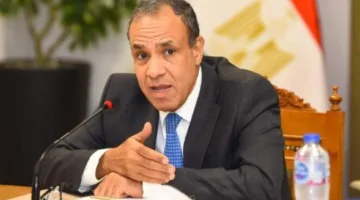 وزير الخارجية: مرور 70 يوماً بلا وصول أي شاحنة مساعدات إلى غزة.. وهذا أمر مُخجل.