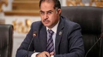النائب سليمان وهدان: حزب الجبهة الوطنية نشأ قوياً نتيجة توافد المواطنين للانضمام إليه