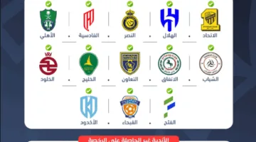لجنة الترخيص تعلن عن منح 13 ناديًا الرخصة المحلية والآسيوية