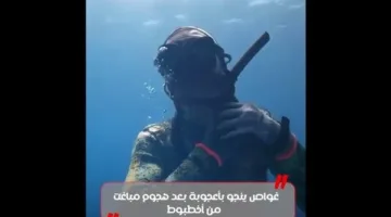 لحظات مروعة: أخطبوط يختنق غواصًا ويكتم أنفاسه (فيديو)