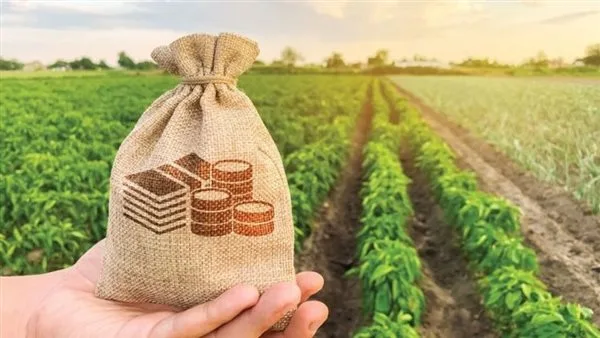 لزيادة الإنتاج… تمويل الفلاح من هذا البنك لزيادة الإنتاج… تمويل الفلاح من هذا البنك