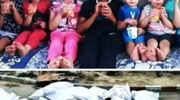 لقطة تُحرك ضمير الإنسانية: قصة طبيبة فلسطينية فقدت 9 من أبنائها وتعزية من شيخ الأزهر