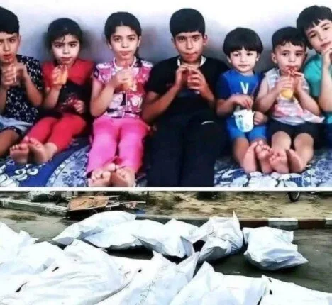 لقطة تُحرك ضمير الإنسانية: قصة طبيبة فلسطينية فقدت 9 من أبنائها وتعزية من شيخ الأزهر لقطة تُحرك ضمير الإنسانية: قصة طبيبة فلسطينية فقدت 9 من أبنائها وتعزية من شيخ الأزهر