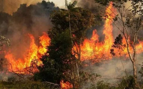 لليوم الثالث، المغرب يستمر في مكافحة حرائق غابة “هوارة” لليوم الثالث، المغرب يستمر في مكافحة حرائق غابة “هوارة”