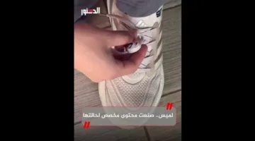 لميس تتصدر ترند تيك توك بتقديم محتوى لدعم من فقدوا أذرعتهم (فيديو)
