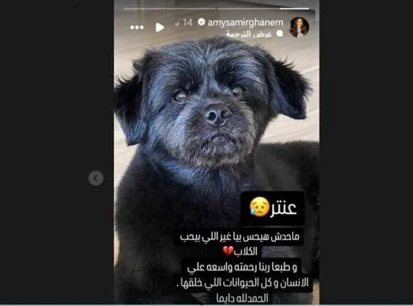 «لن يشعر أحد بوجعي».. إيمي سمير غانم تعرب عن حزنها لهذا السبب