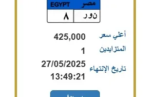 لوحة سيارة فريدة برقم “ن ور – 8” بسعر 425 ألف جنيه