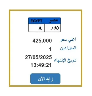 لوحة سيارة فريدة برقم “ن ور – 8” بسعر 425 ألف جنيه لوحة سيارة فريدة برقم “ن ور – 8” بسعر 425 ألف جنيه