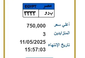 لوحة سيارة مميزة تحمل رقم "ب د و–3333" يصل سعرها لـ 750 ألف جنيه