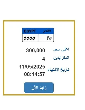 لوحة سيارة مميزة يصل سعرها لـ 300 ألف جنيه