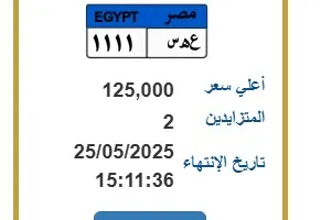 لوحة فريدة بسعر 125 ألف جنيه تحمل الرقم “ع هـ س – 1111”