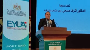 ليسوا مجرد مصادر مالية.. اتحاد شباب المصريين: نظرة الحكومة تجاه أبناء الوطن في المهجر قد تغيرت.