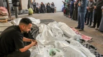 استشهاد عائلة بالكامل جراء قصف الاحتلال لخيمتهم في غزة