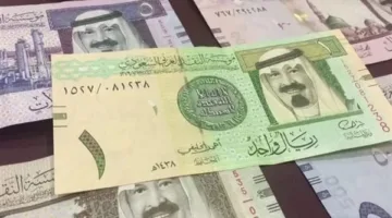 ما هو سعر الريال السعودي في البنك المركزي اليوم، الأحد 25 مايو 2025؟