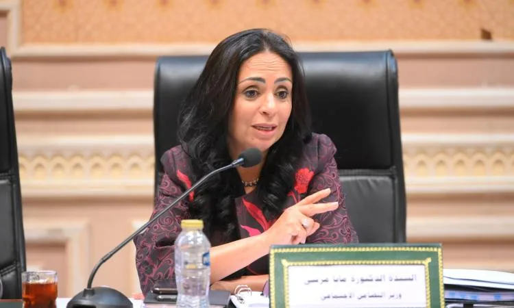 مايا مرسي تشارك باجتماع لجنة التضامن الاجتماعي بمجلس النواب