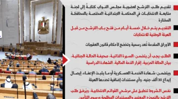 متطلبات الترشح لمجلس النواب 2025: تعرف على الوثائق والمستندات اللازمة