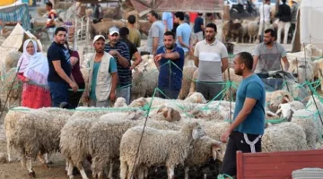 متى تنطلق عطلة عيد الأضحى لعام 2025 في مصر؟