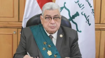 مجلس الدولة ومركز المعلومات بمجلس الوزراء يطلقان عصر العدالة الرقمية الفعالة “بالتعاون الرقمي”