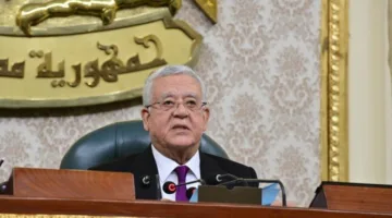 «مجلس النواب» يوافق على اتفاقية تشغيل خطوط طيران منتظمة بين مصر ونيوزيلندا