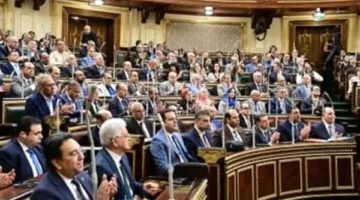 مجلس النواب يوافق على رفع الحافز الإضافي للموظفين إلى 700 جنيه