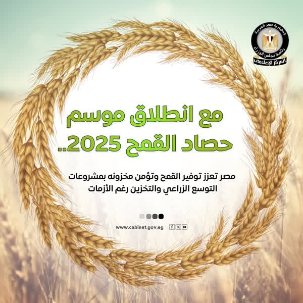 مجلس الوزراء يستعرض جهود الدولة لتعزيز الإنتاج المحلي من القمح وتأمين مخزونه