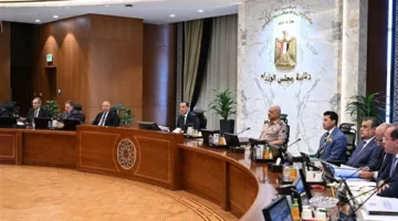 مجلس الوزراء يعتمد برنامج تحفيز جديد لإنتاج السيارات لتعزيز قاعدة صناعية تنافسية