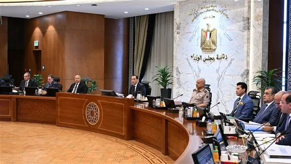مجلس الوزراء يعتمد برنامج تحفيز جديد لإنتاج السيارات لتعزيز قاعدة صناعية تنافسية مجلس الوزراء يعتمد برنامج تحفيز جديد لإنتاج السيارات لتعزيز قاعدة صناعية تنافسية