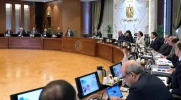مجلس الوزراء يقرر تعديل قائمة أنواع الكلاب الخطرة من 16 نوعا لـ3 فقط