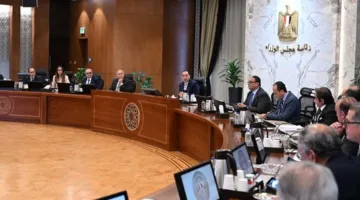 مجلس الوزراء يوافق على إقامة معرض للآثار المصرية في هونغ كونغ