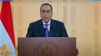 مجلس الوزراء يوضح حقيقة انتشار “عسل نحل ملوث” في الأسواق