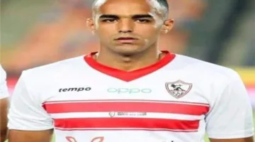 مجلس لبيب في انتظار عودة الطيور المهاجرة خلال فصل الصيف