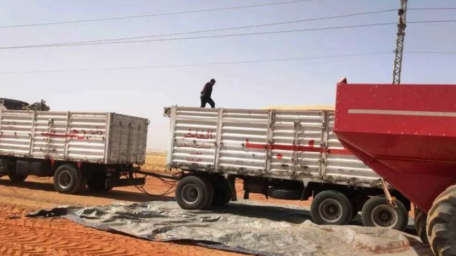 محافظ أسوان توريد 158 ألفًا و676 طنا من القمح بالصوامع والشون والبناكر داخل وخارج المحافظة